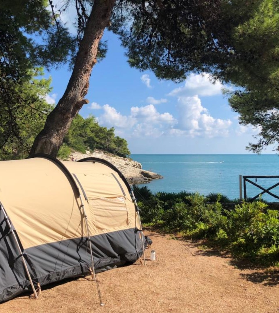 Tenda da campeggio vicino al mare, circondata da alberi e una splendida vista costiera.